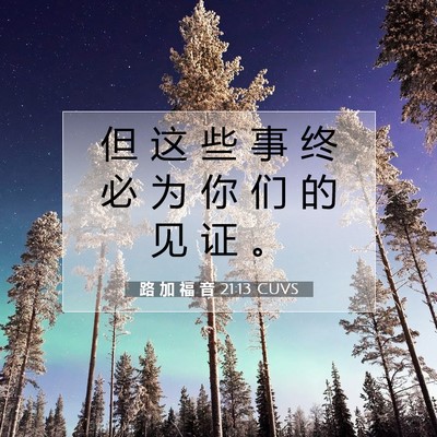 Picture 07 - 路 加 福 音 21:13 CUVS - 但 这 些 事 终 必 为 你 们 的 见 证 - Bible Verse Picture