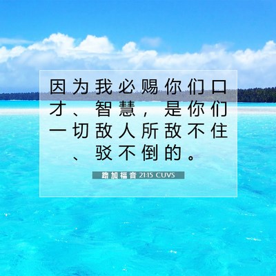 Picture 07 - 路 加 福 音 21:15 CUVS - 因 为 我 必 赐 你 们 口 才 、 智 慧 - Bible Verse Picture