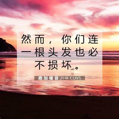 Picture 07 - 路 加 福 音 21:18 CUVS - 然 而 ， 你 们 连 一 根 头 发 也 必 - Bible Verse Picture