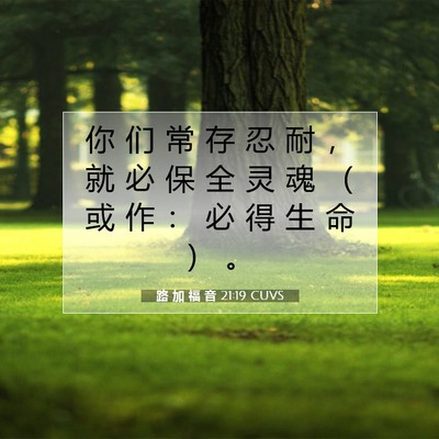 Picture 07 - 路 加 福 音 21:19 CUVS - 你 们 常 存 忍 耐 ， 就 必 保 全 灵 - Bible Verse Picture
