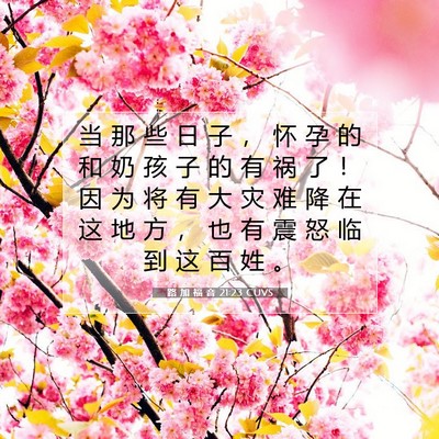 Picture 07 - 路 加 福 音 21:23 CUVS - 当 那 些 日 子 ， 怀 孕 的 和 奶 孩 - Bible Verse Picture