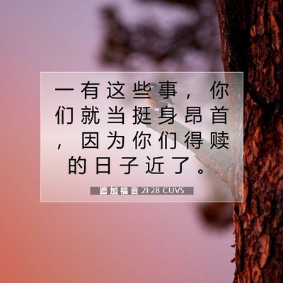 Picture 07 - 路 加 福 音 21:28 CUVS - 一 有 这 些 事 ， 你 们 就 当 挺 身 - Bible Verse Picture
