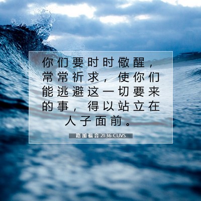 Picture 07 - 路 加 福 音 21:36 CUVS - 你 们 要 时 时 儆 醒 ， 常 常 祈 求 - Bible Verse Picture