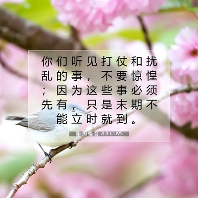 Picture 07 - 路 加 福 音 21:9 CUVS - 你 们 听 见 打 仗 和 扰 乱 的 事 ， - Bible Verse Picture
