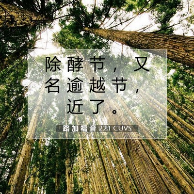 Picture 07 - 路 加 福 音 22:1 CUVS - 除 酵 节 ， 又 名 逾 越 节 ， 近 了 - Bible Verse Picture