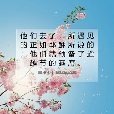 Picture 07 - 路 加 福 音 22:13 CUVS - 他 们 去 了 ， 所 遇 见 的 正 如 耶 - Bible Verse Picture