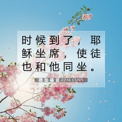 Picture 07 - 路 加 福 音 22:14 CUVS - 时 候 到 了 ， 耶 稣 坐 席 ， 使 徒 - Bible Verse Picture