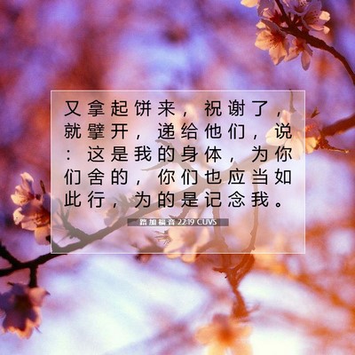 Picture 07 - 路 加 福 音 22:19 CUVS - 又 拿 起 饼 来 ， 祝 谢 了 ， 就 擘 - Bible Verse Picture
