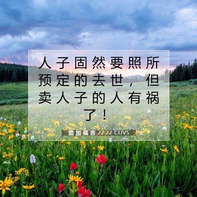 Picture 07 - 路 加 福 音 22:22 CUVS - 人 子 固 然 要 照 所 预 定 的 去 世 - Bible Verse Picture