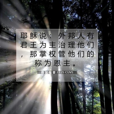 Picture 07 - 路 加 福 音 22:25 CUVS - 耶 稣 说 ： 外 邦 人 有 君 王 为 主 - Bible Verse Picture