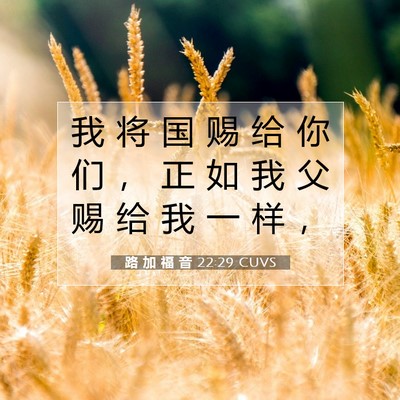 Picture 07 - 路 加 福 音 22:29 CUVS - 我 将 国 赐 给 你 们 ， 正 如 我 父 - Bible Verse Picture