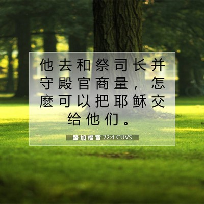 Picture 07 - 路 加 福 音 22:4 CUVS - 他 去 和 祭 司 长 并 守 殿 官 商 量 - Bible Verse Picture