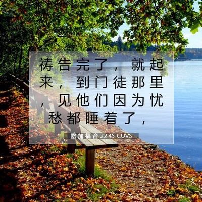 Picture 07 - 路 加 福 音 22:45 CUVS - 祷 告 完 了 ， 就 起 来 ， 到 门 徒 - Bible Verse Picture