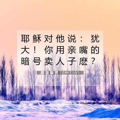Picture 07 - 路 加 福 音 22:48 CUVS - 耶 稣 对 他 说 ： 犹 大 ！ 你 用 亲 - Bible Verse Picture