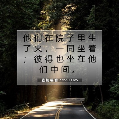 Picture 07 - 路 加 福 音 22:55 CUVS - 他 们 在 院 子 里 生 了 火 ， 一 同 - Bible Verse Picture