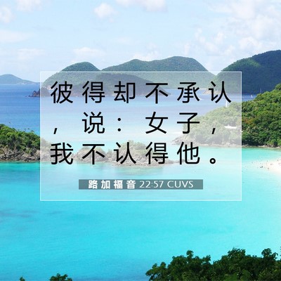 Picture 07 - 路 加 福 音 22:57 CUVS - 彼 得 却 不 承 认 ， 说 ： 女 子 ， - Bible Verse Picture