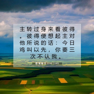 Picture 07 - 路 加 福 音 22:61 CUVS - 主 转 过 身 来 看 彼 得 。 彼 得 便 - Bible Verse Picture