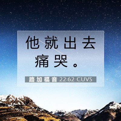Picture 07 - 路 加 福 音 22:62 CUVS - 他 就 出 去 痛 哭 - Bible Verse Picture