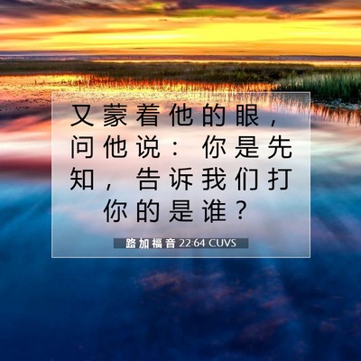 Picture 07 - 路 加 福 音 22:64 CUVS - 又 蒙 着 他 的 眼 ， 问 他 说 ： 你 - Bible Verse Picture