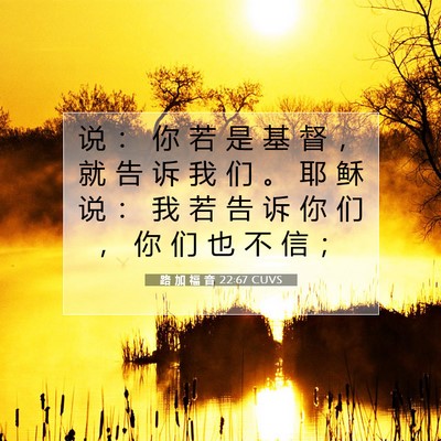 Picture 07 - 路 加 福 音 22:67 CUVS - 说 ： 你 若 是 基 督 ， 就 告 诉 我 - Bible Verse Picture