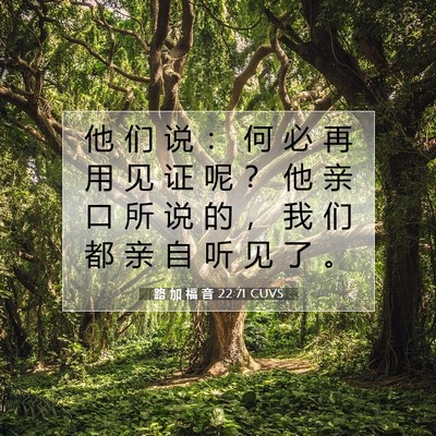 Picture 07 - 路 加 福 音 22:71 CUVS - 他 们 说 ： 何 必 再 用 见 证 呢 ？ - Bible Verse Picture