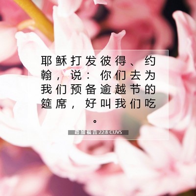 Picture 07 - 路 加 福 音 22:8 CUVS - 耶 稣 打 发 彼 得 、 约 翰 ， 说 ： - Bible Verse Picture