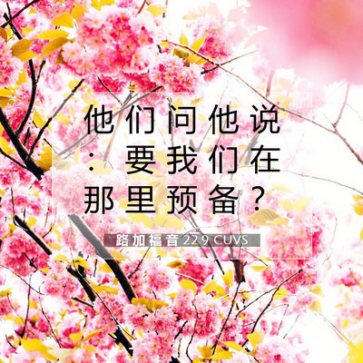 Picture 07 - 路 加 福 音 22:9 CUVS - 他 们 问 他 说 ： 要 我 们 在 那 里 - Bible Verse Picture