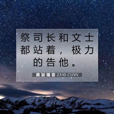 Picture 07 - 路 加 福 音 23:10 CUVS - 祭 司 长 和 文 士 都 站 着 ， 极 力 - Bible Verse Picture