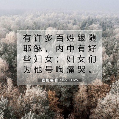 Picture 07 - 路 加 福 音 23:27 CUVS - 有 许 多 百 姓 跟 随 耶 稣 ， 内 中 - Bible Verse Picture