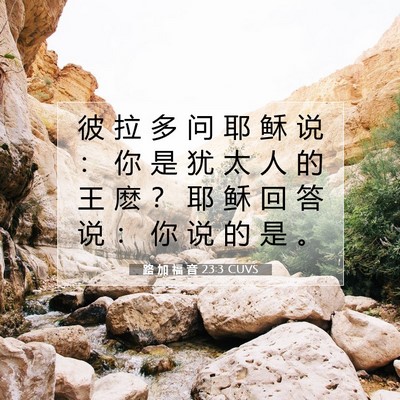 Picture 07 - 路 加 福 音 23:3 CUVS - 彼 拉 多 问 耶 稣 说 ： 你 是 犹 太 - Bible Verse Picture