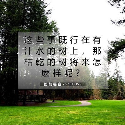 Picture 07 - 路 加 福 音 23:31 CUVS - 这 些 事 既 行 在 有 汁 水 的 树 上 - Bible Verse Picture