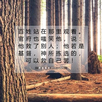 Picture 07 - 路 加 福 音 23:35 CUVS - 百 姓 站 在 那 里 观 看 。 官 府 也 - Bible Verse Picture