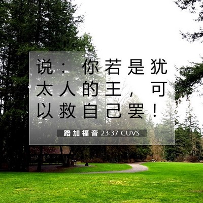 Picture 07 - 路 加 福 音 23:37 CUVS - 说 ： 你 若 是 犹 太 人 的 王 ， 可 - Bible Verse Picture