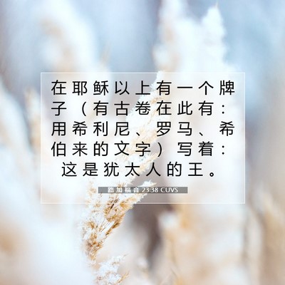 Picture 07 - 路 加 福 音 23:38 CUVS - 在 耶 稣 以 上 有 一 个 牌 子 （ 有 - Bible Verse Picture