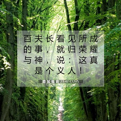 Picture 07 - 路 加 福 音 23:47 CUVS - 百 夫 长 看 见 所 成 的 事 ， 就 归 - Bible Verse Picture