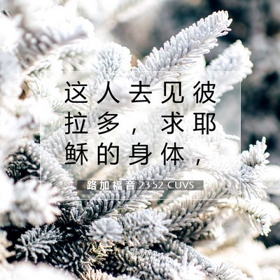 Picture 07 - 路 加 福 音 23:52 CUVS - 这 人 去 见 彼 拉 多 ， 求 耶 稣 的 - Bible Verse Picture