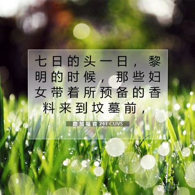 Picture 07 - 路 加 福 音 24:1 CUVS - 七 日 的 头 一 日 ， 黎 明 的 时 候 - Bible Verse Picture