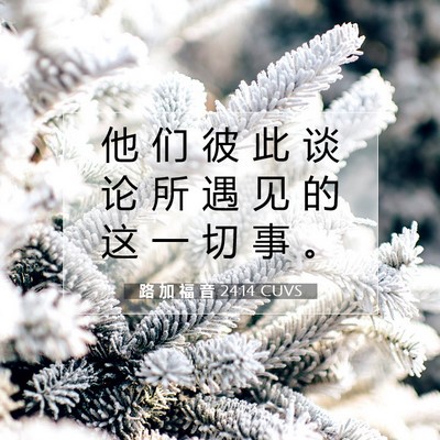 Picture 07 - 路 加 福 音 24:14 CUVS - 他 们 彼 此 谈 论 所 遇 见 的 这 一 - Bible Verse Picture
