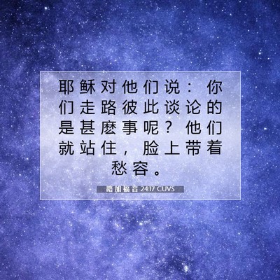 Picture 07 - 路 加 福 音 24:17 CUVS - 耶 稣 对 他 们 说 ： 你 们 走 路 彼 - Bible Verse Picture