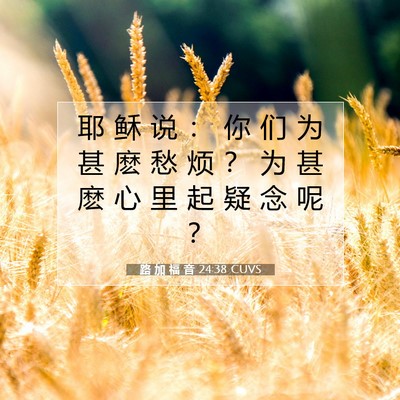 Picture 07 - 路 加 福 音 24:38 CUVS - 耶 稣 说 ： 你 们 为 甚 麽 愁 烦 ？ - Bible Verse Picture