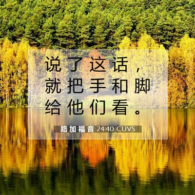 Picture 07 - 路 加 福 音 24:40 CUVS - 说 了 这 话 ， 就 把 手 和 脚 给 他 - Bible Verse Picture
