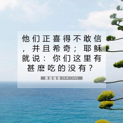 Picture 07 - 路 加 福 音 24:41 CUVS - 他 们 正 喜 得 不 敢 信 ， 并 且 希 - Bible Verse Picture