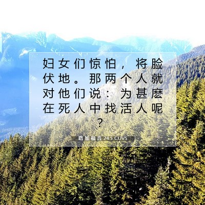 Picture 07 - 路 加 福 音 24:5 CUVS - 妇 女 们 惊 怕 ， 将 脸 伏 地 。 那 - Bible Verse Picture