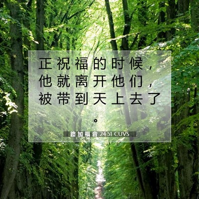 Picture 07 - 路 加 福 音 24:51 CUVS - 正 祝 福 的 时 候 ， 他 就 离 开 他 - Bible Verse Picture