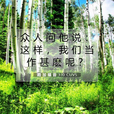Picture 07 - 路 加 福 音 3:10 CUVS - 众 人 问 他 说 ： 这 样 ， 我 们 当 - Bible Verse Picture