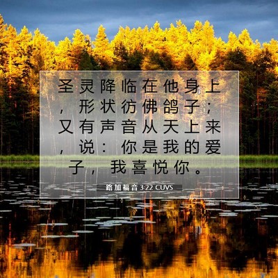 Picture 07 - 路 加 福 音 3:22 CUVS - 圣 灵 降 临 在 他 身 上 ， 形 状 彷 - Bible Verse Picture
