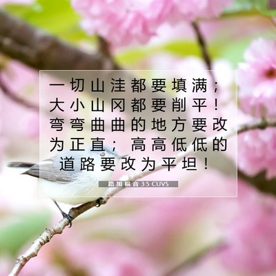 Picture 07 - 路 加 福 音 3:5 CUVS - 一 切 山 洼 都 要 填 满 ； 大 小 山 - Bible Verse Picture