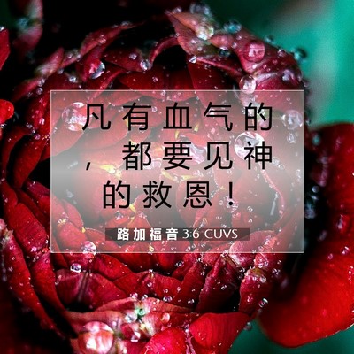 Picture 07 - 路 加 福 音 3:6 CUVS - 凡 有 血 气 的 ， 都 要 见 神 的 救 - Bible Verse Picture