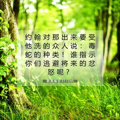 Picture 07 - 路 加 福 音 3:7 CUVS - 约 翰 对 那 出 来 要 受 他 洗 的 众 - Bible Verse Picture