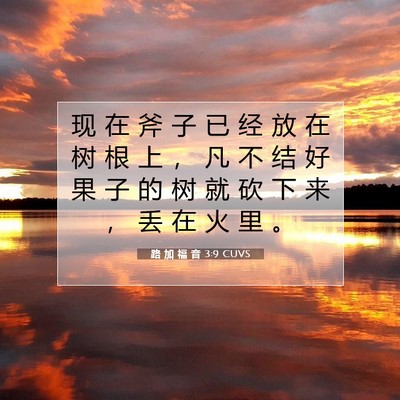 Picture 07 - 路 加 福 音 3:9 CUVS - 现 在 斧 子 已 经 放 在 树 根 上 ， - Bible Verse Picture